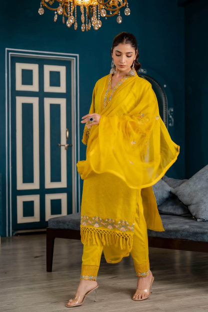 Heavy cotton schiffli fabric suit set - Eraya